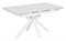 Стол Баден-1С керамика White Marble (белый мрамор), нога 120Q белая - стол обеденный с керамогранитом - фото 20356